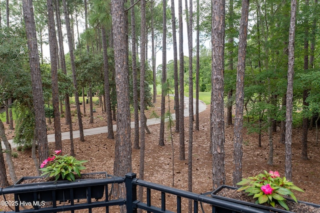 3792 Bancroft Pl, Southport, NC 28461 - view of yard