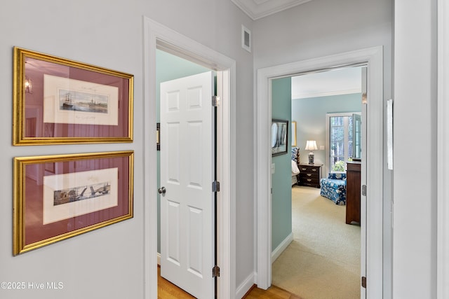 3792 Bancroft Pl, Southport, NC 28461 - hallway featuring crown molding and light carpet