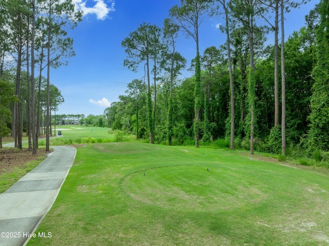 3792 Bancroft Pl, Southport, NC 28461 - view of property's community with golf course view and a yard