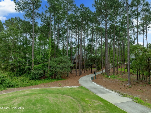 3792 Bancroft Pl, Southport, NC 28461 - view of property's community