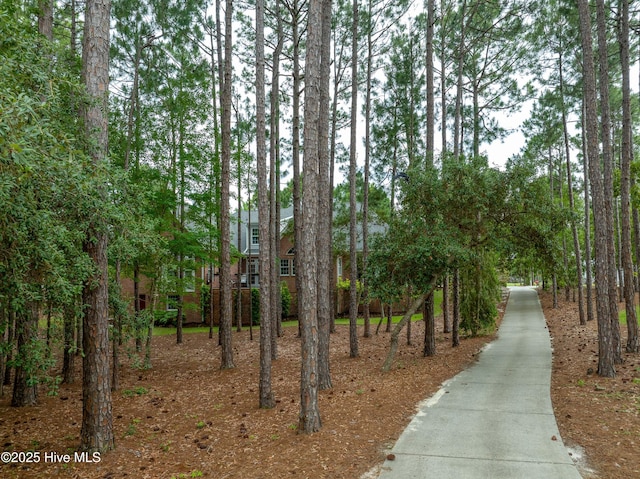 3792 Bancroft Pl, Southport, NC 28461 - view of community featuring concrete driveway