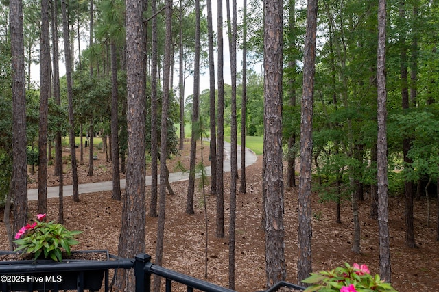 3792 Bancroft Pl, Southport, NC 28461 - view of yard
