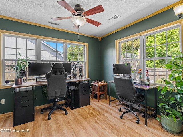 245 Parnell Rd, Hubert, NC 28539 - office area featuring plenty of natural light, ceiling fan, light wood-style floors, crown molding, and a textured ceiling