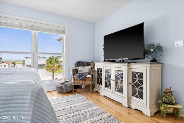 9089 W 9th St, Surf City, NC 28445 - bedroom with wood finished floors