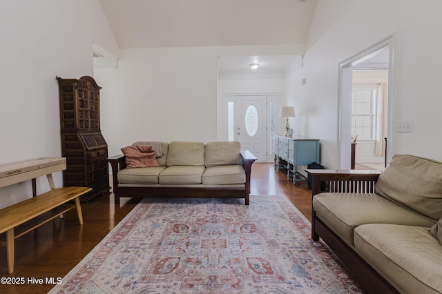 358 Folkstone Rd, Holly Ridge, NC 28445 - living room featuring vaulted ceiling and wood finished floors