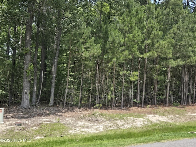 66 Standard Bred Way, Hertford, NC 27944
