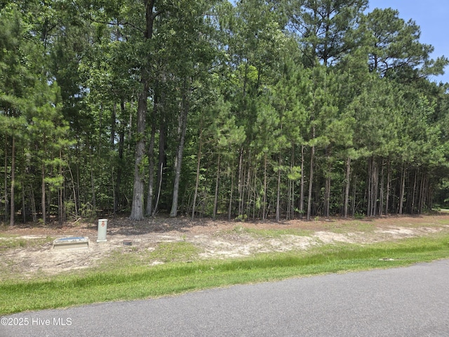 66 Standard Bred Way, Hertford, NC 27944