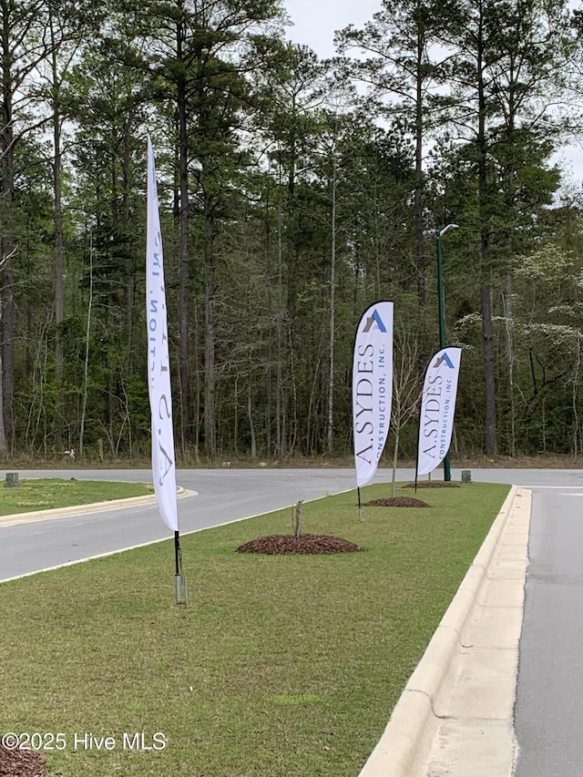 4005 Grouper Run, New Bern, NC 28562 - view of asphalt street featuring street lights