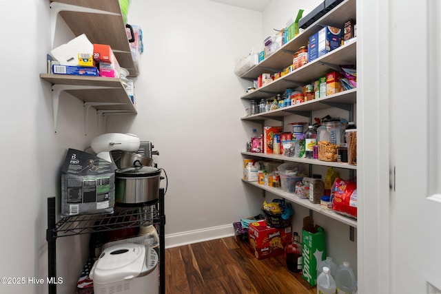 244 Red Fox Run Dr, Wallace, NC 28466 - view of pantry