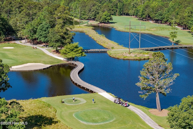 244 Red Fox Run Dr, Wallace, NC 28466 - bird's eye view of a large body of water and a golf club