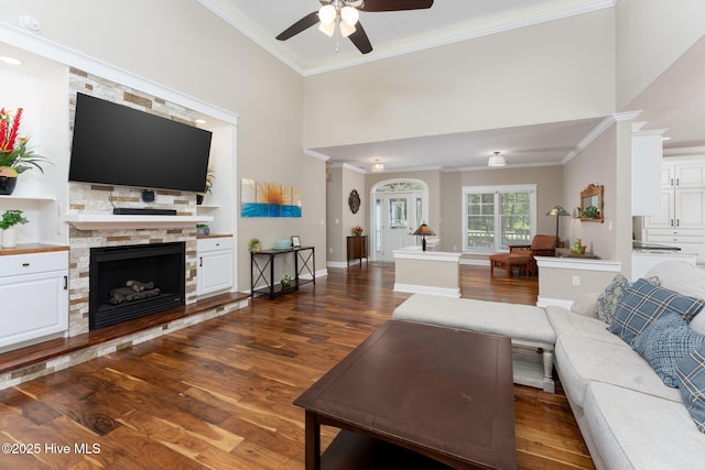 244 Red Fox Run Dr, Wallace, NC 28466 - living room with ceiling fan, wood finished floors, ornamental molding, a stone fireplace, and a high ceiling