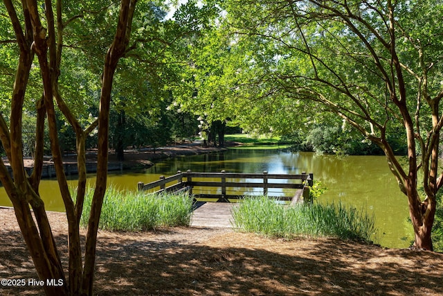 244 Red Fox Run Dr, Wallace, NC 28466 - dock with a water view