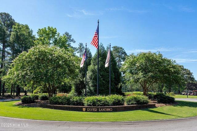 244 Red Fox Run Dr, Wallace, NC 28466 - view of home's community featuring a lawn