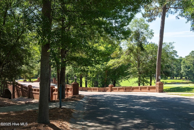 244 Red Fox Run Dr, Wallace, NC 28466 - view of asphalt road featuring curbs and view of scattered trees