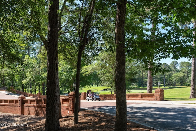 244 Red Fox Run Dr, Wallace, NC 28466 - view of property's community featuring view of scattered trees