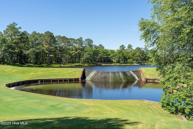 244 Red Fox Run Dr, Wallace, NC 28466 - water view with a golf club