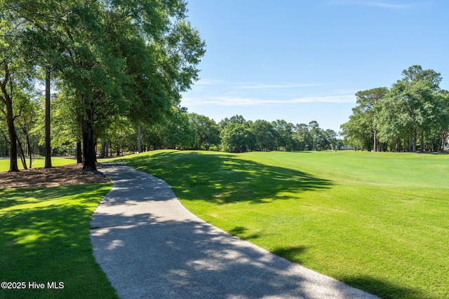 244 Red Fox Run Dr, Wallace, NC 28466 - surrounding community with view of wooded area and a yard