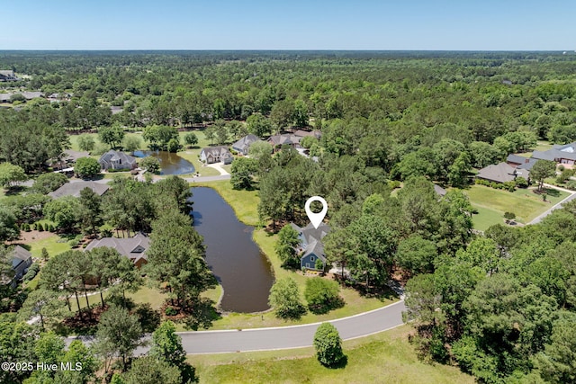244 Red Fox Run Dr, Wallace, NC 28466 - aerial perspective of suburban area featuring a forest and a nearby body of water
