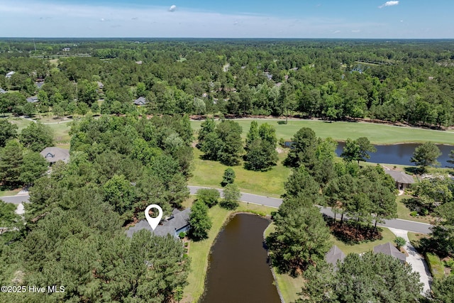 244 Red Fox Run Dr, Wallace, NC 28466 - drone / aerial view of a forest and a nearby body of water