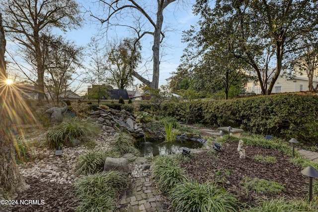 412 S 3rd St, Wilmington, NC 28401 - view of yard featuring a small pond