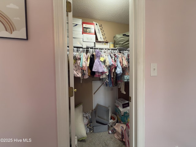 141 Jessie Cir, Hubert, NC 28539 - walk in closet featuring carpet flooring