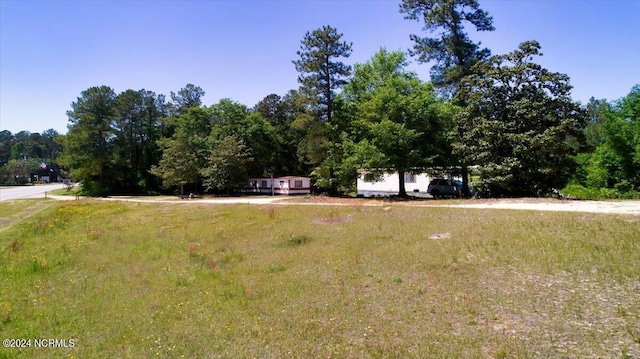2023 NC-211 Hwy, Eagle Springs, NC 27242 - view of yard