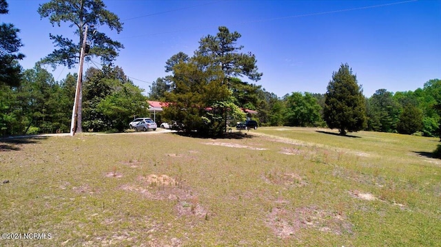 2023 NC-211 Hwy, Eagle Springs, NC 27242 - view of yard