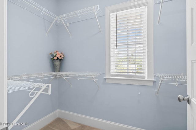 266 Marsh Haven Dr, Sneads Ferry, NC 28460 - view of spacious closet
