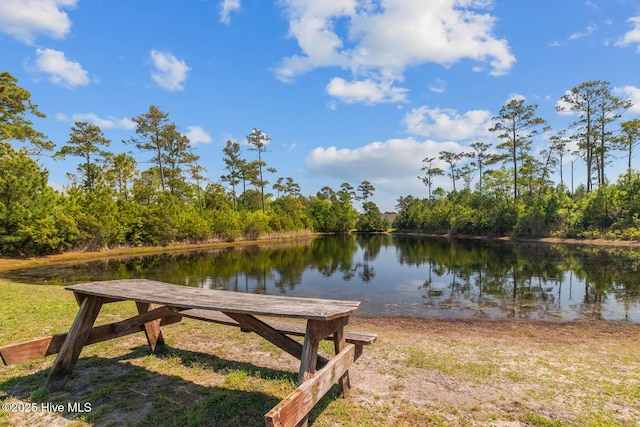 266 Marsh Haven Dr, Sneads Ferry, NC 28460 - dock area featuring a water view and a view of trees