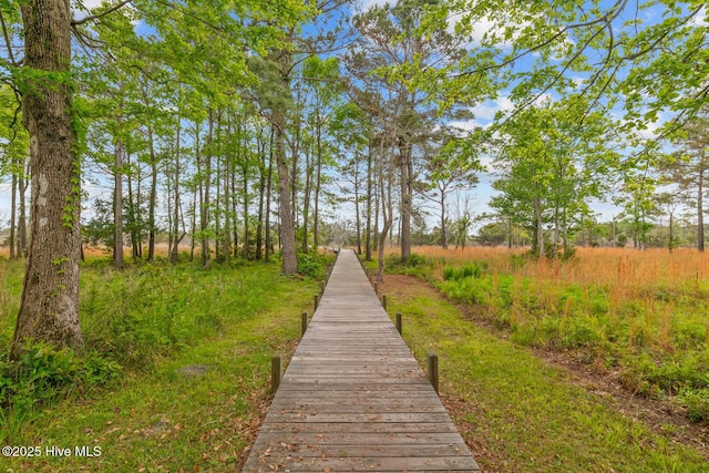 266 Marsh Haven Dr, Sneads Ferry, NC 28460 - view of home's community