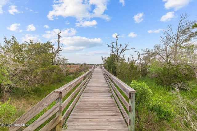 266 Marsh Haven Dr, Sneads Ferry, NC 28460 - view of property's community