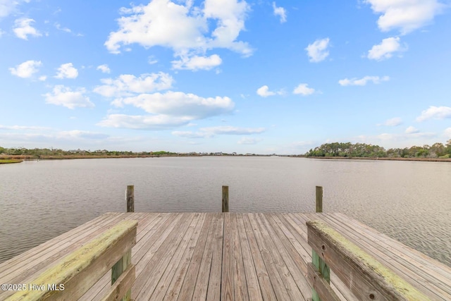 266 Marsh Haven Dr, Sneads Ferry, NC 28460 - dock with a water view