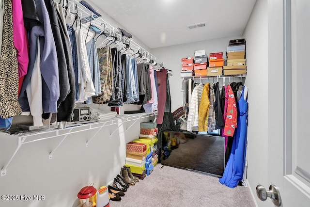 2610 Longleaf Pine Cir, Leland, NC 28451 - spacious closet with carpet flooring