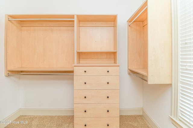 spacious closet featuring carpet flooring