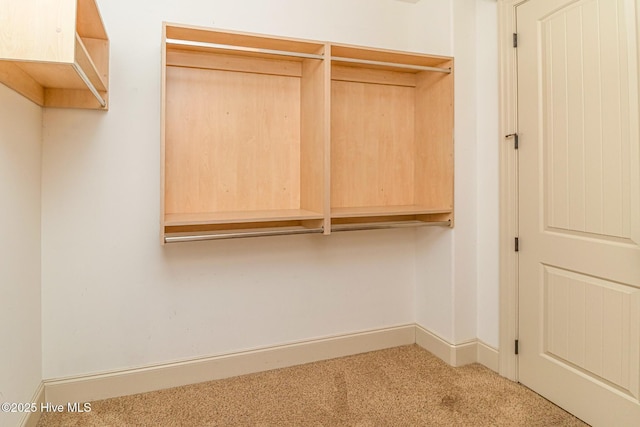 spacious closet featuring carpet