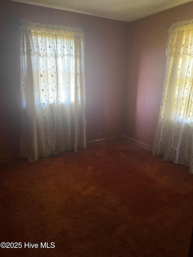 691 Wade Daughtry Rd, Faison, NC 28341 - spare room featuring carpet flooring