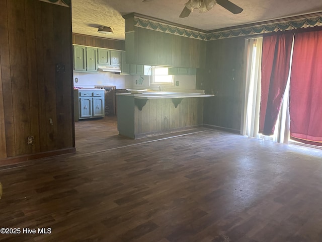 691 Wade Daughtry Rd, Faison, NC 28341 - kitchen with under cabinet range hood, a peninsula, dark wood-style floors, a ceiling fan, and light countertops