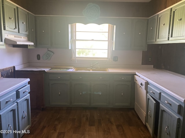 691 Wade Daughtry Rd, Faison, NC 28341 - kitchen with a sink, white dishwasher, under cabinet range hood, and dark wood-style flooring