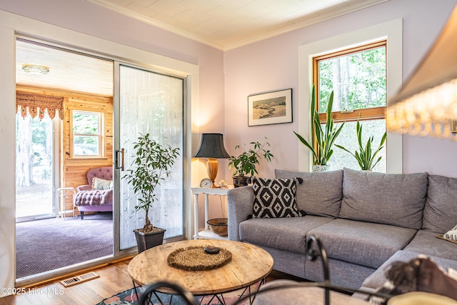living room featuring wood finished floors, plenty of natural light, ornamental molding, and wood walls