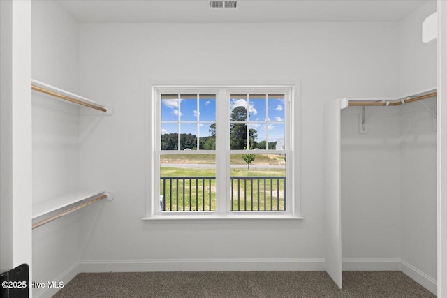 2190 Heartland Rd, Battleboro, NC 27809 - walk in closet with carpet flooring