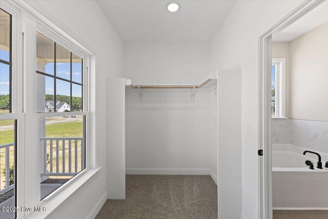 2190 Heartland Rd, Battleboro, NC 27809 - spacious closet with carpet