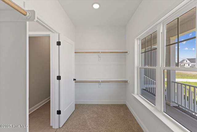 2190 Heartland Rd, Battleboro, NC 27809 - spacious closet featuring carpet