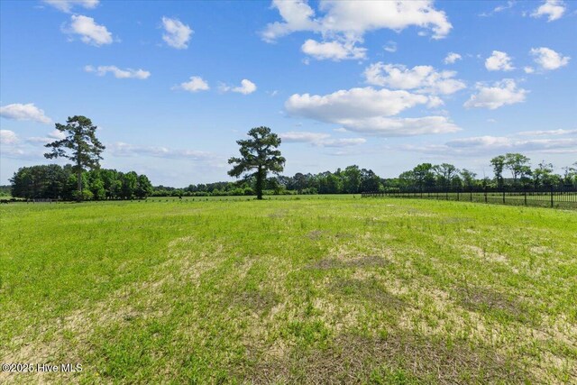 2190 Heartland Rd, Battleboro, NC 27809 - view of yard featuring a rural view