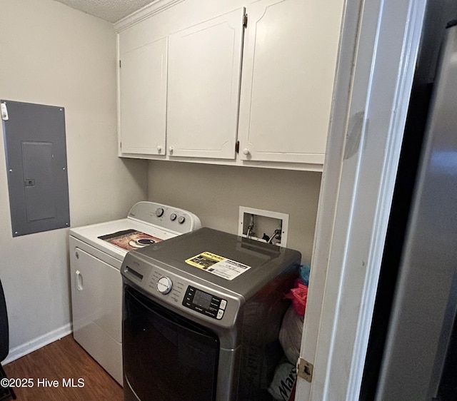 920 Spring Forest Rd Unit L-5, Greenville, NC 27834 - laundry area with electric panel, washer and clothes dryer, dark wood-type flooring, and cabinet space