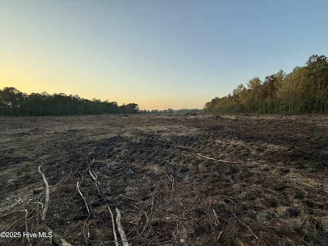 370 W Main St, Burgaw NC, 28425 land for sale