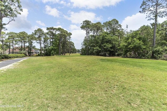 308 Crooked Gulley Cir, Sunset Beach, NC 28468 - view of grassy yard