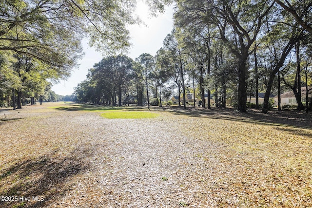 308 Crooked Gulley Cir, Sunset Beach, NC 28468 - view of home's community