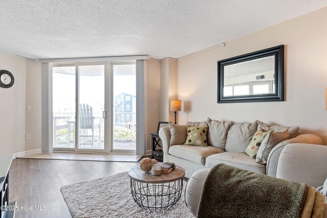 2000 New River Inlet Rd Unit 3113, North Topsail Beach, NC 28460 - living area featuring wood finished floors and a textured ceiling