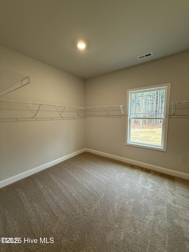 spacious closet featuring carpet