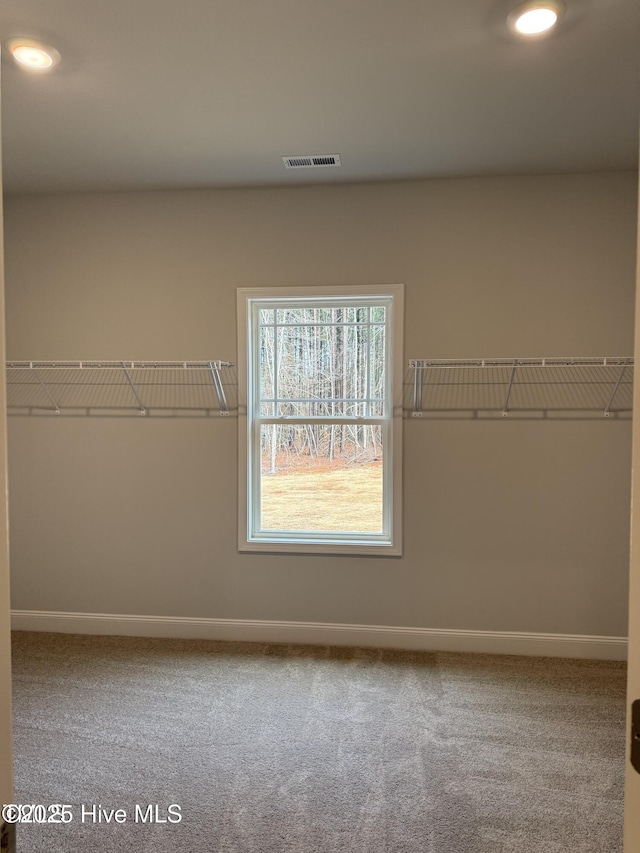 walk in closet with carpet floors